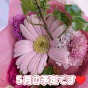 ヒメ日記 2026/04/23 07:38 投稿 冴島　れいか 川崎南町人妻高級ソープ エル・カーヒル(ELCURHIL)秘密の刻