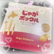 ヒメ日記 2025/09/01 00:14 投稿 りお 一宮稲沢小牧ちゃんこ