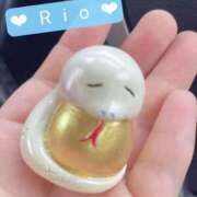 ヒメ日記 2025/09/29 08:34 投稿 りお 一宮稲沢小牧ちゃんこ