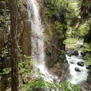 ヒメ日記 2025/10/16 08:54 投稿 りお 一宮稲沢小牧ちゃんこ