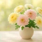 ヒメ日記 2025/11/06 08:54 投稿 りお 一宮稲沢小牧ちゃんこ