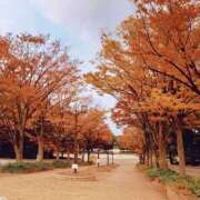 ヒメ日記 2025/11/28 08:11 投稿 りお 一宮稲沢小牧ちゃんこ