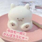 ヒメ日記 2025/12/04 13:04 投稿 りお 一宮稲沢小牧ちゃんこ