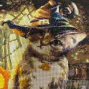 ヒメ日記 2026/04/01 22:44 投稿 りお 一宮稲沢小牧ちゃんこ