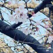 ヒメ日記 2026/04/02 12:54 投稿 りお 一宮稲沢小牧ちゃんこ