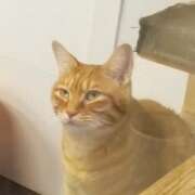 ヒメ日記 2025/09/20 20:26 投稿 高田ゆりあ(たかだゆりあ) 人妻最後の砦 西船橋店