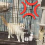 ヒメ日記 2025/10/01 19:55 投稿 高田ゆりあ（たかだゆりあ） 人妻最後の砦 西船橋店