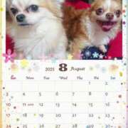 ヒメ日記 2025/08/04 13:40 投稿 ありな One More奥様　厚木店