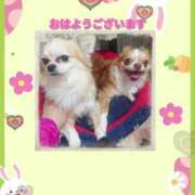 ヒメ日記 2025/09/15 13:20 投稿 ありな One More奥様　厚木店