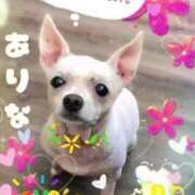 ヒメ日記 2025/10/19 20:17 投稿 ありな One More奥様　厚木店