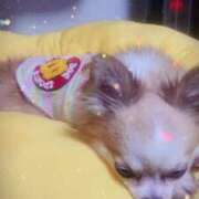 ヒメ日記 2025/12/30 04:17 投稿 ありな One More奥様　厚木店