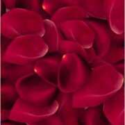 ヒメ日記 2025/12/30 11:27 投稿 ありな One More奥様　厚木店