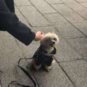 ヒメ日記 2026/02/13 02:57 投稿 みあ あふたーすくーる本店