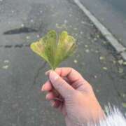 ヒメ日記 2025/11/15 15:05 投稿 佐藤　えま しこたま奥様 札幌店