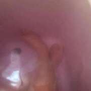 ヒメ日記 2025/11/21 19:12 投稿 佐藤　えま しこたま奥様 札幌店