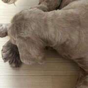 ヒメ日記 2025/12/18 22:47 投稿 佐藤　えま しこたま奥様 札幌店