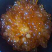 ヒメ日記 2025/12/24 22:15 投稿 佐藤　えま しこたま奥様 札幌店