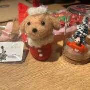 ヒメ日記 2025/12/25 23:35 投稿 佐藤　えま しこたま奥様 札幌店