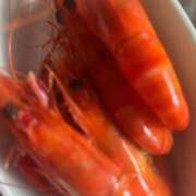 ヒメ日記 2025/12/30 16:15 投稿 佐藤　えま しこたま奥様 札幌店