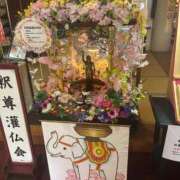 ヒメ日記 2026/04/06 22:17 投稿 佐藤　えま しこたま奥様 札幌店