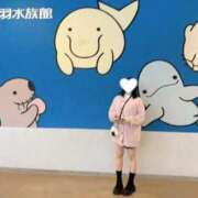 ヒメ日記 2025/11/21 08:18 投稿 らて【シルバーアロー】 Arrows 苫小牧・千歳店