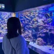 ヒメ日記 2025/11/30 08:08 投稿 らて【シルバーアロー】 Arrows 苫小牧・千歳店