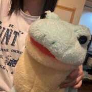 らて【シルバーアロー】 けろけろ Arrows 苫小牧・千歳店