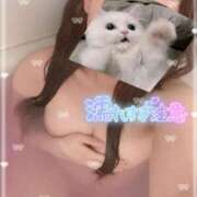 ヒメ日記 2025/07/10 22:15 投稿 れいら 池袋ぱんぷきん（シンデレラグループ）