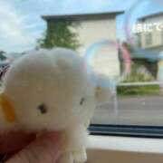 ヒメ日記 2025/08/22 17:32 投稿 れいら 池袋ぱんぷきん（シンデレラグループ）