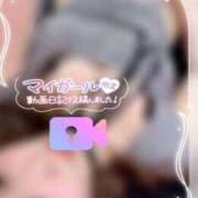 ヒメ日記 2025/09/20 19:40 投稿 れいら 池袋ぱんぷきん（シンデレラグループ）