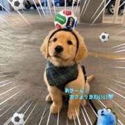 ヒメ日記 2026/06/17 11:46 投稿 ぱる チェリーデイズ新宿店