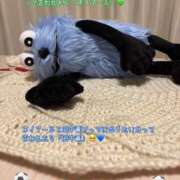 ヒメ日記 2026/06/27 10:06 投稿 ぱる チェリーデイズ新宿店