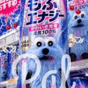 ヒメ日記 2026/07/03 22:02 投稿 ぱる チェリーデイズ新宿店