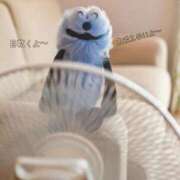 ヒメ日記 2026/07/04 19:45 投稿 ぱる チェリーデイズ新宿店