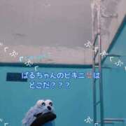 ヒメ日記 2026/07/06 15:39 投稿 ぱる チェリーデイズ新宿店