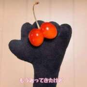 ヒメ日記 2026/07/11 09:00 投稿 ぱる チェリーデイズ新宿店