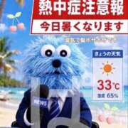 ヒメ日記 2026/07/15 08:39 投稿 ぱる チェリーデイズ新宿店