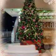 ヒメ日記 2025/11/16 22:47 投稿 吉瀬りほ 松戸人妻花壇