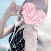 ヒメ日記 2025/10/20 06:18 投稿 桃尻あまね 四季～SIKI～