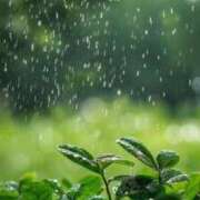 ヒメ日記 2025/12/15 05:00 投稿 桃尻あまね 四季～SIKI～