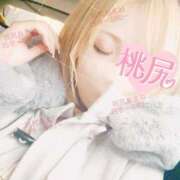 ヒメ日記 2026/01/19 16:18 投稿 桃尻あまね 四季～SIKI～