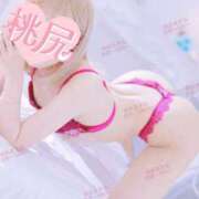 ヒメ日記 2026/01/31 20:30 投稿 桃尻あまね 四季～SIKI～