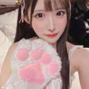 ヒメ日記 2026/02/26 16:18 投稿 あんり【ゴールドアロー】 Arrows 苫小牧・千歳店