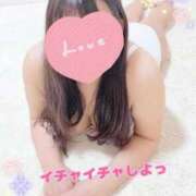 ヒメ日記 2025/08/01 12:25 投稿 せり 福岡飯塚田川ちゃんこ