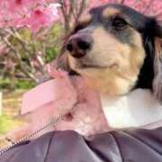 ヒメ日記 2025/07/12 03:22 投稿 もえ 山梨　デリヘル No.1 『Sコレクション』 甲府