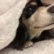 ヒメ日記 2025/07/13 22:20 投稿 もえ 山梨　デリヘル No.1 『Sコレクション』 甲府