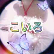 ヒメ日記 2025/07/07 12:05 投稿 こいろ 元町奥さま