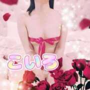 ヒメ日記 2025/07/12 12:06 投稿 こいろ 元町奥さま