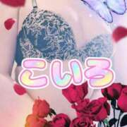 ヒメ日記 2025/07/13 11:24 投稿 こいろ 元町奥さま