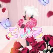 ヒメ日記 2025/07/13 12:54 投稿 こいろ 元町奥さま